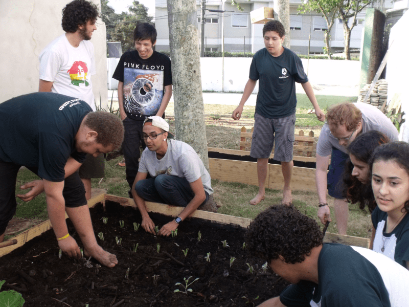Projeto Horta Escola transforma terrenos baldios em sustento saudável para comunidade